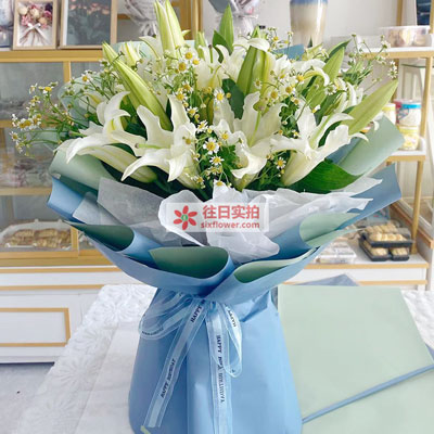 贵港8支白色多头百合洋甘菊，互倾的思念
