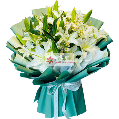 贵港8支白色多头百合洋甘菊，如潮的思念